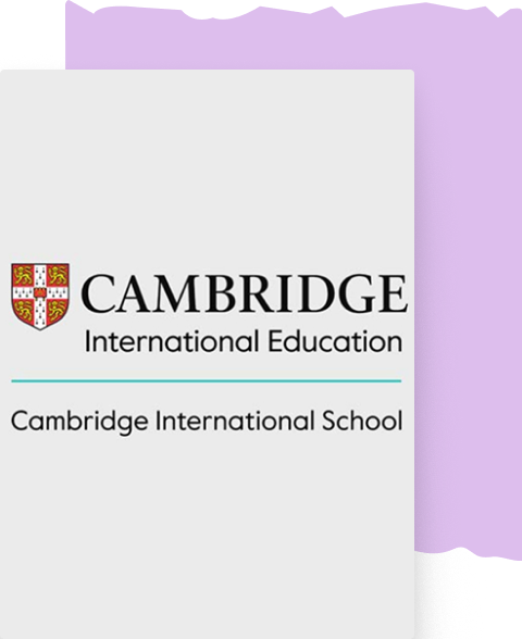 APL Curriculum